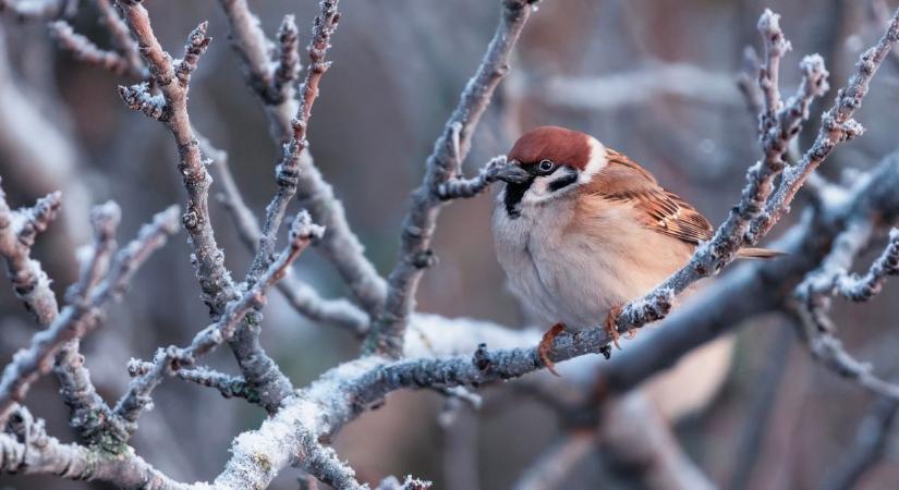 Havas és jeges utak – fokozott óvatosságra van szükség