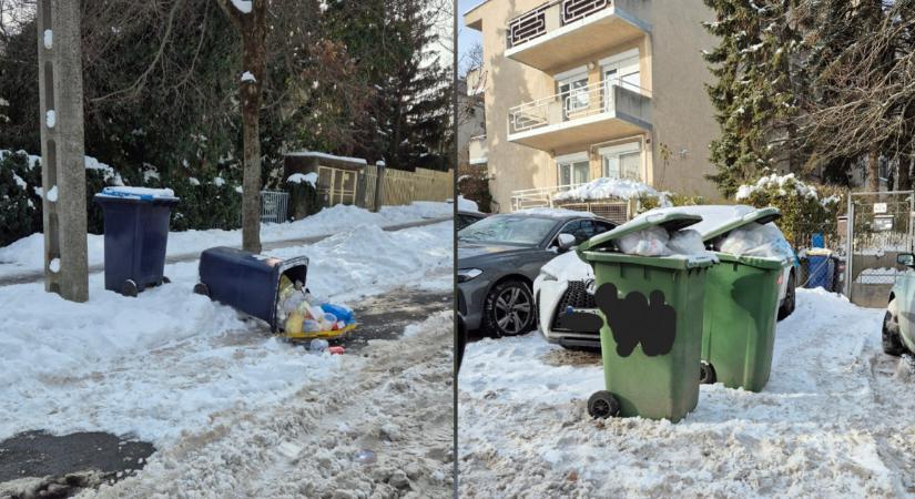 Hetek óta nem ürítik a kukákat a második kerületben, reagált a Mohu