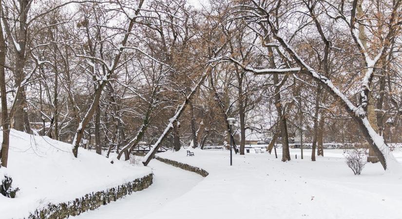 Óriási fotóválogatáson a januári havazás: téli mesevilággá változott Komárom-Esztergom