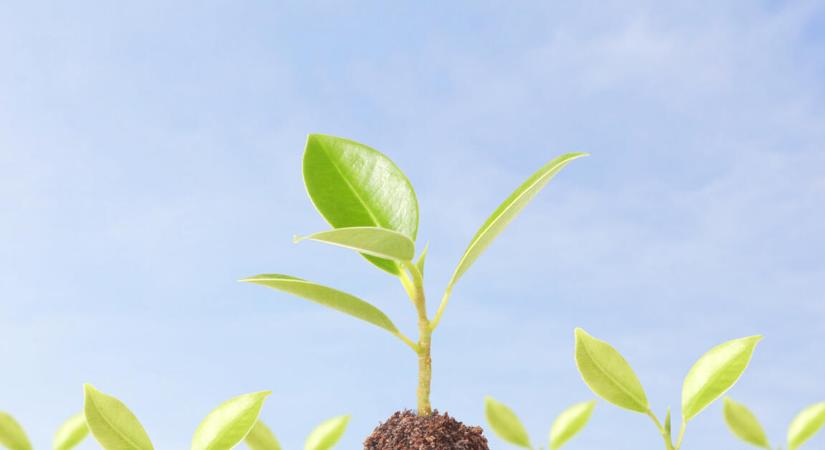 Ismét kiváló éven vannak túl a nyugdíjpénztárak