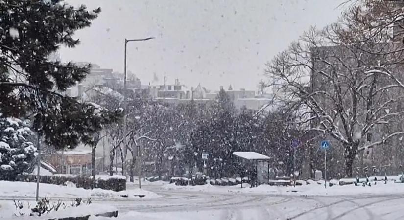 Egy tízéves kislány papucsban, egy idős hölgy pedig mezítláb indult útnak a hidegben