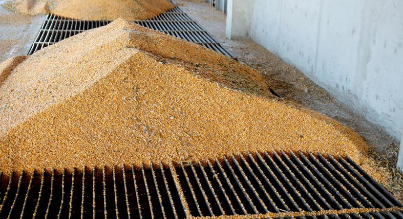 Újabb fejlemény a Bászna Gabona ügyében: sikkasztás gyanúja miatt nyomoz a rendőrség