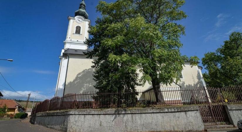 Megtalálták Aba Sámuel király sírját Abasáron az ásatásvezető régész szerint