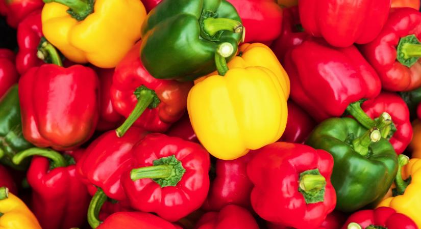 Óriási eső zúdult le erre a térségre: döbbenetes, mit okozott a földeken