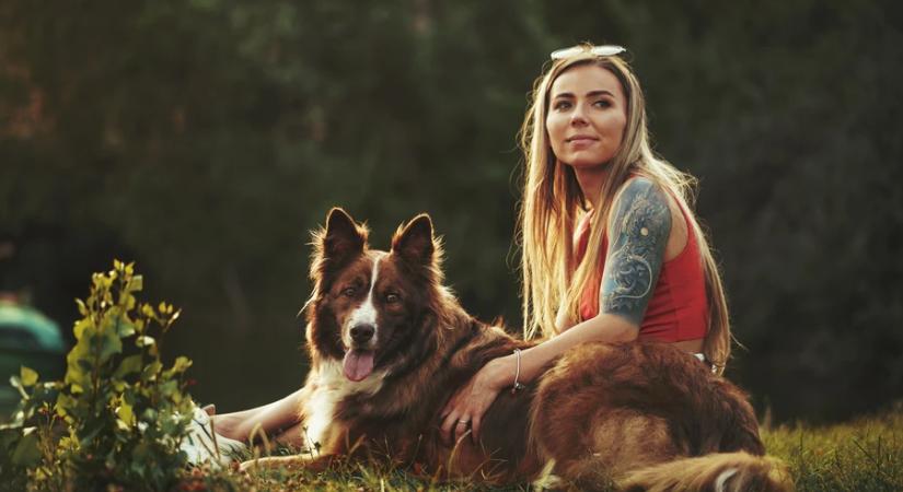 Új szavakat tanulnak a gazdáik beszélgetéseit figyelve egyes kutyák