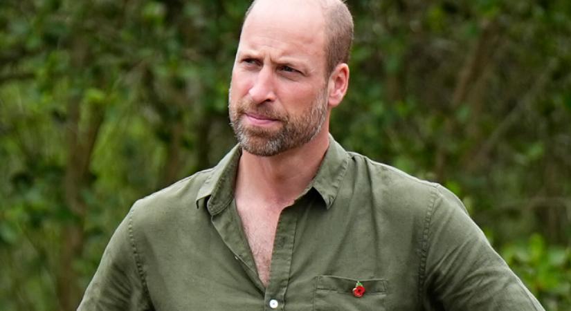 Harry döbbenetes megjegyzést tett Vilmos gyerekeire: a trónörökös tajtékzott a dühtől