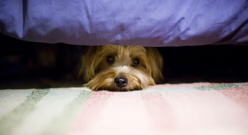 Napi horoszkóp 2026. 01. 13.: Félelmekkel szembenézős kedd