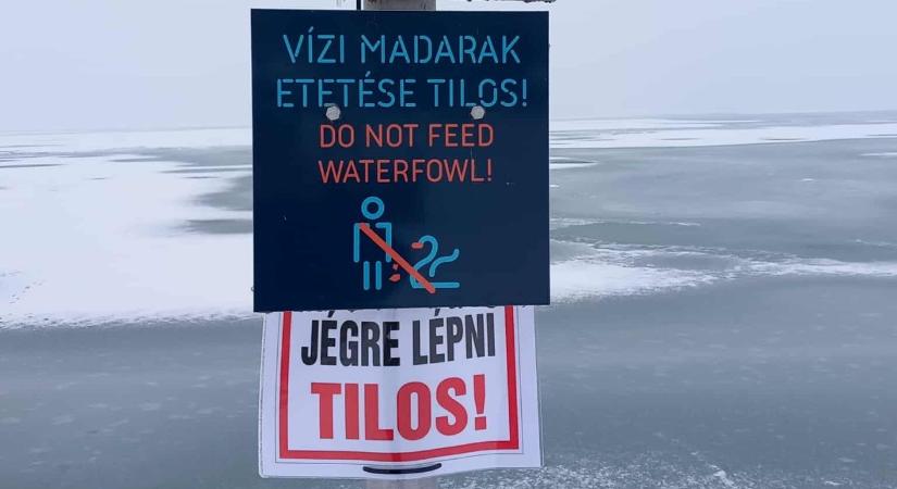 Tilosban jártak és még hergelték is a rendőröket – videó