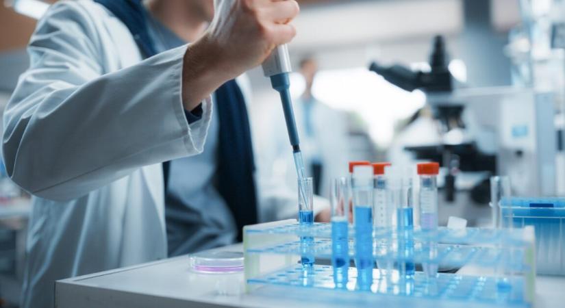 Új áttörés a rákellenes immunterápiában