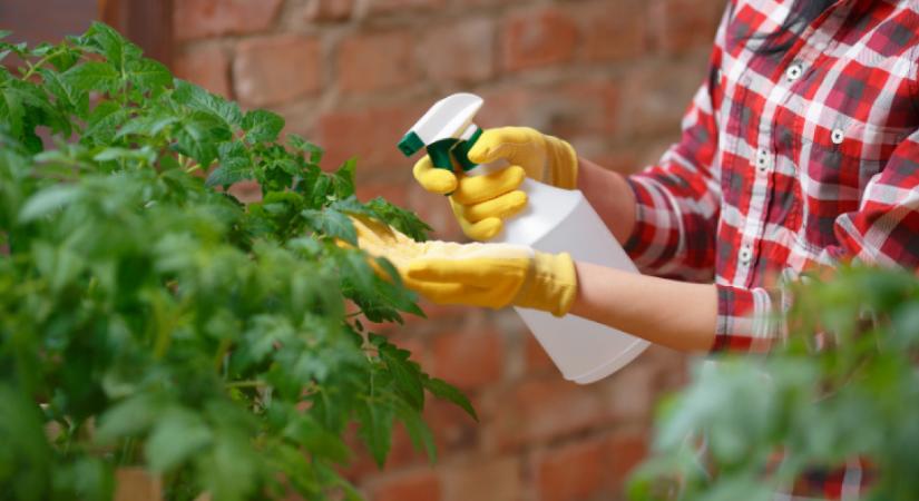 Ezekkel a módszerekkel végleg távol tarthatod a kártevőket a kertedből