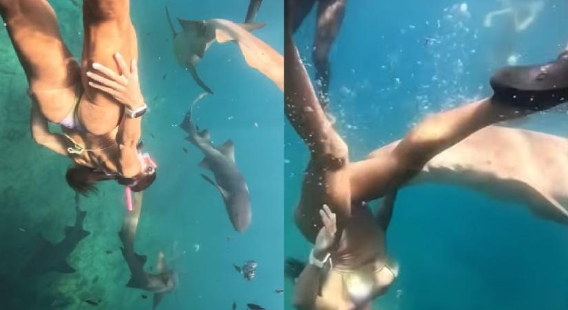 Horrorisztikus felvételen, ahogy egy cápa rátámad a nőre szabadtüdős merülés közben