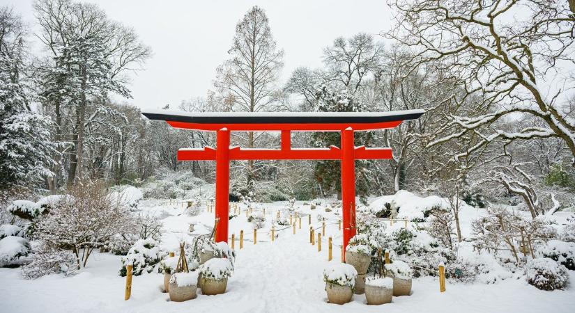 A tél nem enged Csongrád-Csanád vármegyében