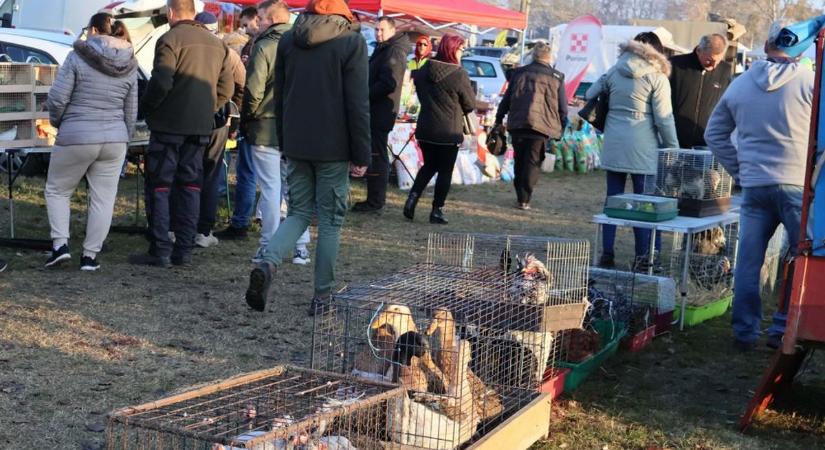 Itt vannak a dunaföldvári vásár időpontjai