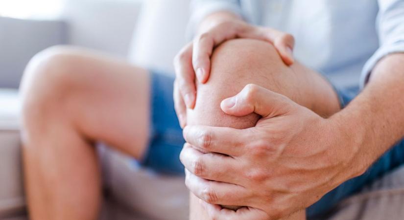 Elbúcsúzhatunk a porckopástól – legalábbis ezt sugallja egy új felfedezés