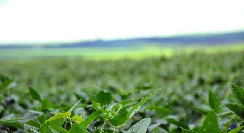 Nagy István: Magyarország nem fogadja el az EU és Dél-Amerika közötti szabadkereskedelmi megállapodást