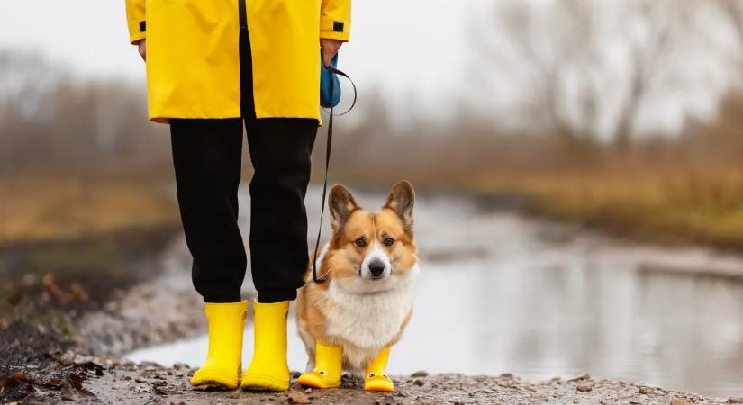 Saras cipő, vizes kabát – így mentsd meg a ruházatod az elhasználódástól