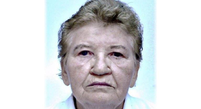 Nyomtalanul eltűnt egy 77 éves nő Gyálon, egész éjjel mentőalakulatok keresték