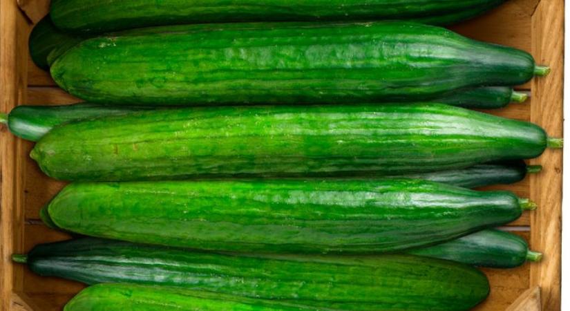 Féláron a kígyóuborka, igaz Spanyolországba kell érte menni