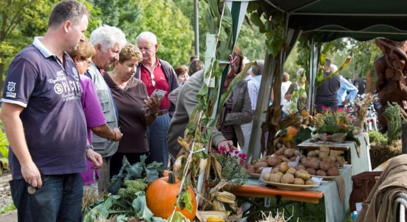 Gyenesdiási Burgonyanap 2026
