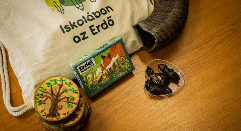Indul a regisztráció a 2026-os Iskolában az Erdő Programra