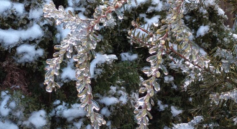 Csúszós utak, szakadt karok, rejtőzködő banki levelek- Így indult a nap!