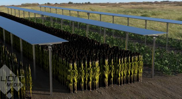 Növényekből áram: innováció a Széchenyi István Egyetemmel