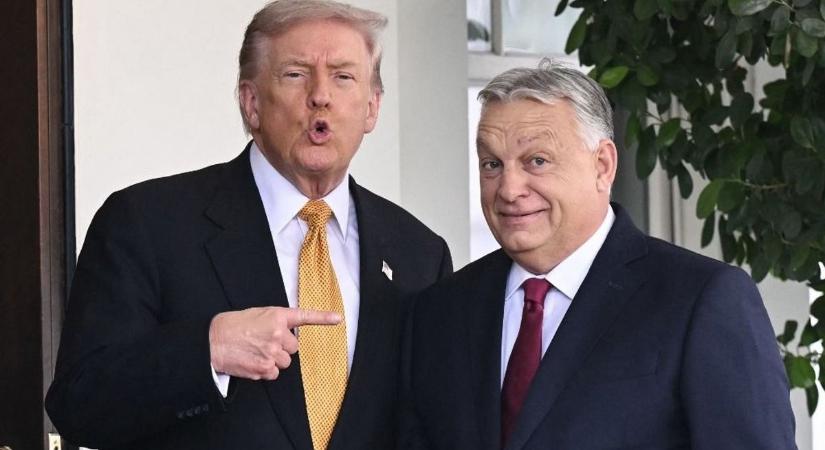 A németek már tudják: Donald Trump érkezése végleg eldönti Orbán Viktor és Magyar Péter versenyét