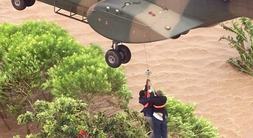 A fa tetején született csodabébi tragikusan fiatalon hunyt el