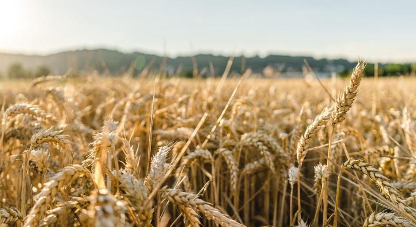 Agrárminiszter: a Mercosur-megállapodás elfogadhatatlan Magyarország számára