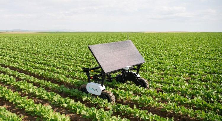 Autonóm gyomirtás vegyszerek nélkül a szántóföldön