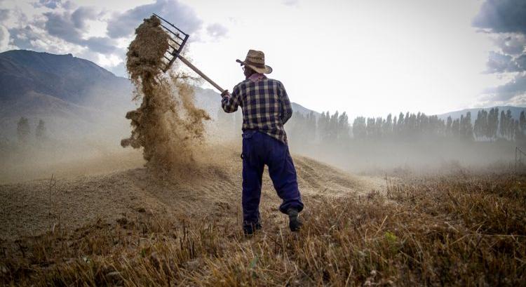 Megszüntetik a területalapú támogatást?