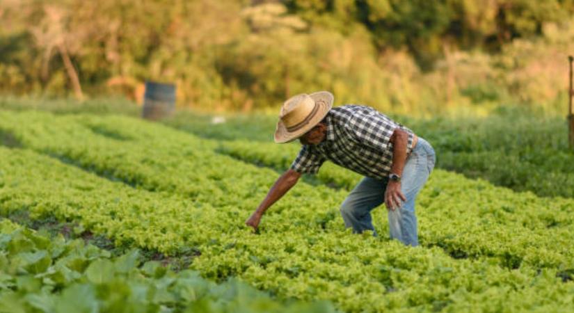 Brazíliában már várják a Mercosur-t, 25 évre (!) terveznek