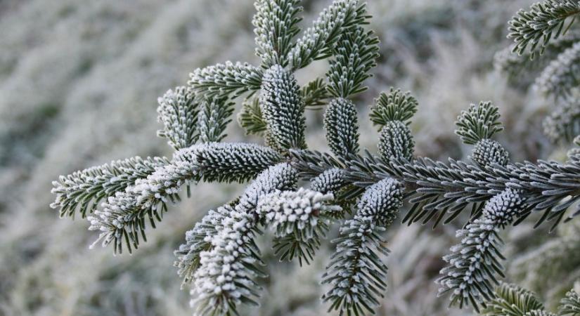 Érkezik az enyhülés, de nem jut belőle mindenkinek