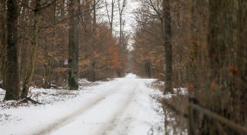 Szigeti József eltűnése: Szürke esőkabátban látták utoljára a jáki férfit