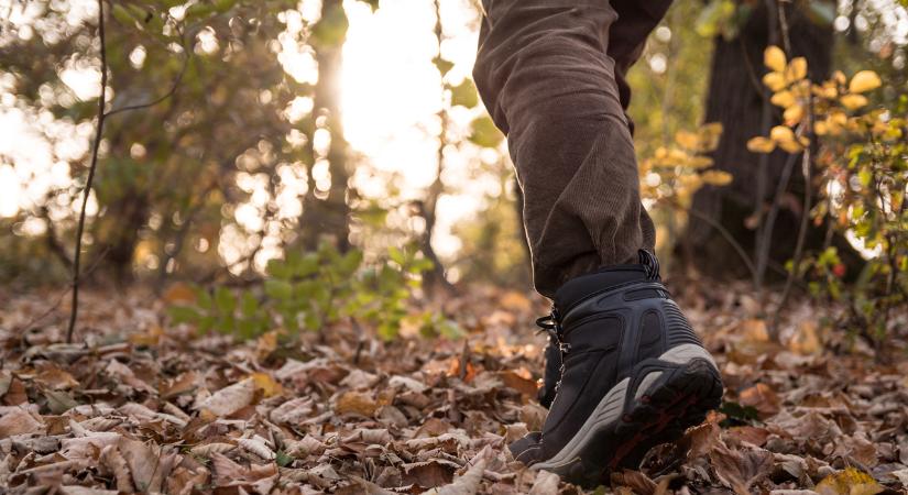 Mostantól tilos letérni erről a turistaútról a Budai-hegységben
