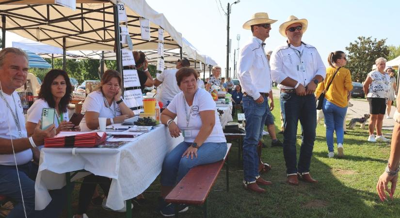 A város fizeti, a lakók mondják meg, hogy mire költsék