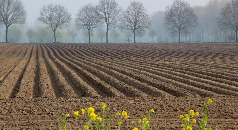 Ezért lett Európa-szerte sürgető a regeneratív fordulat