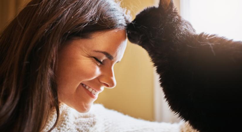 Az ezotéria szerint ez a macska véd meg az ártó szellemektől