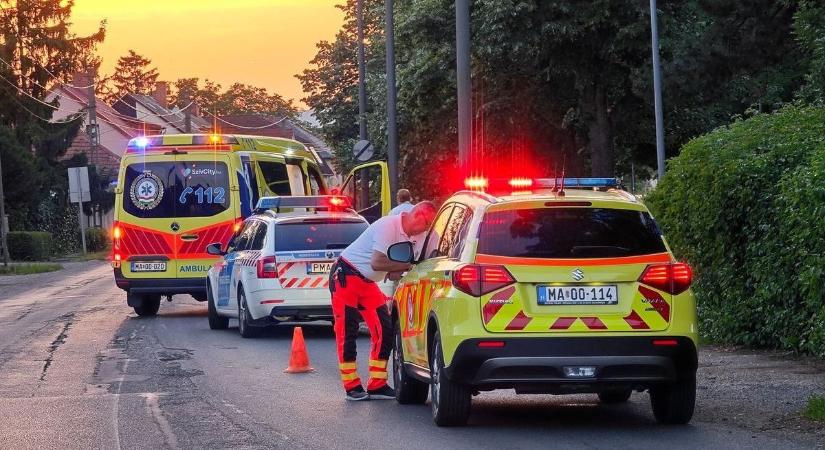 Letépte a kamion tetejét egy felüljáró, halálos baleset, ahol a kutya is életét vesztette a sofőrön kívül