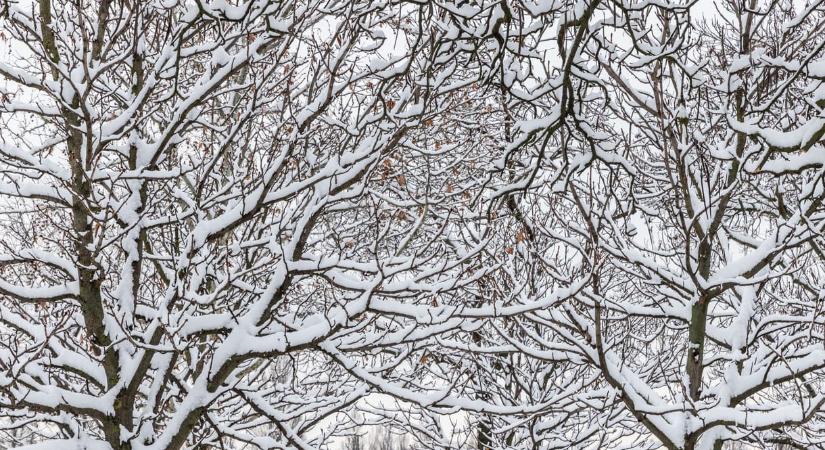 A havazás óta a beomló tetők miatt fordultak leginkább a biztosítókhoz a magyarok