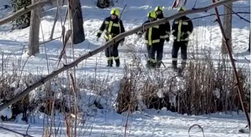Az év sztorija: három hatóság összefogásával próbálták kimenteni a Ráckevei Duna jegébe fagyott kacsát, aztán jött az elképesztő fordulat