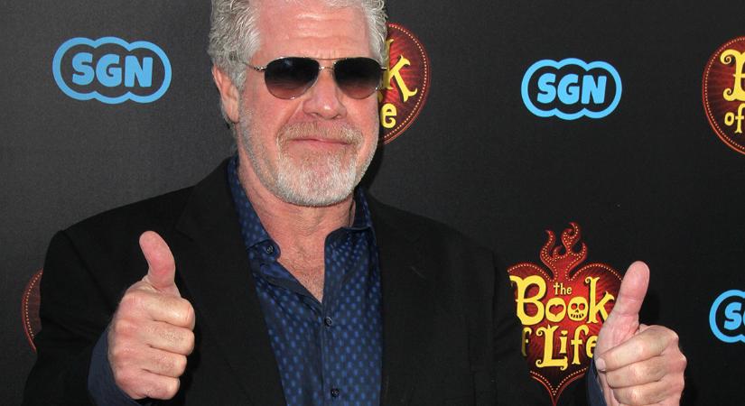 40 dolcsi és egy szendvics – Ennyiért lett Ron Perlman a Fallout narrátora
