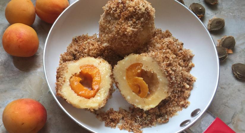 Benne van a tudás, benne van az íz!