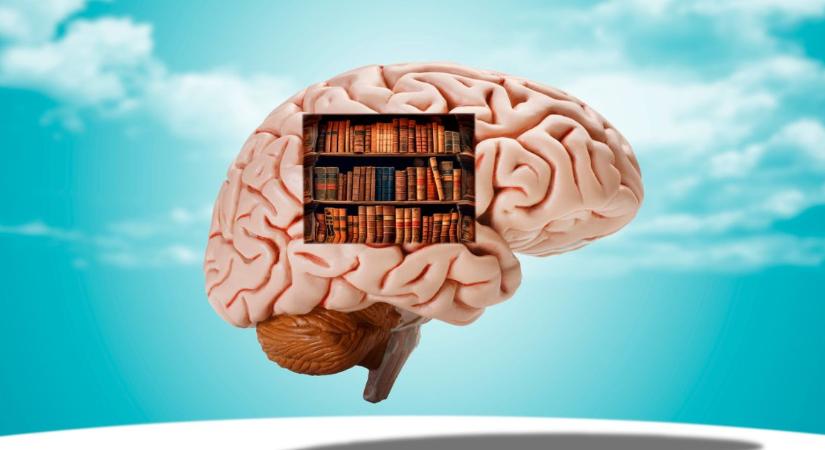 Általános műveltségi kvíz: ezekre a kérdésekre álmodból felkeltve is illik tudni a választ