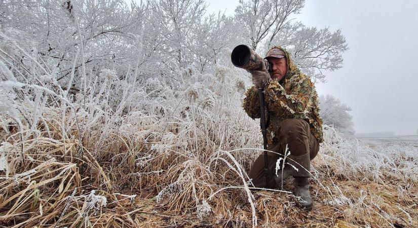 Varázslatos vadon Polgár Ádám lencséjén keresztül - Csodás fotók