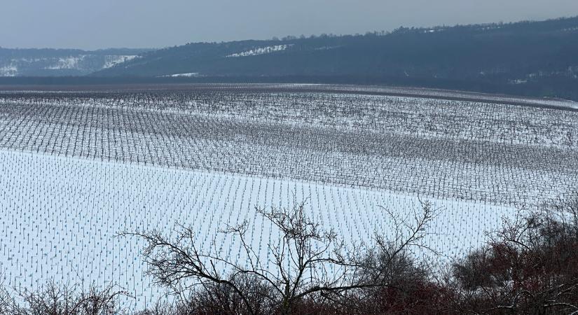 Beszédes adatsor: kiderült, mit árul el a havas napok száma?