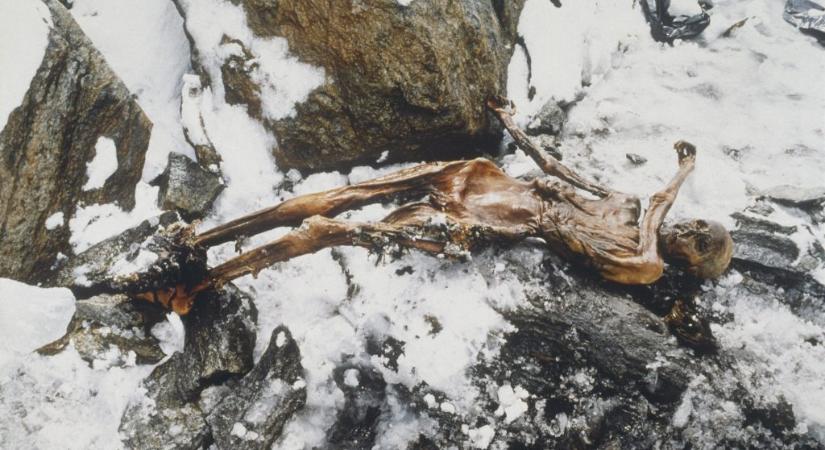 Meglepő dolog derült ki Ötziről, az 5000 éves jégmúmiáról