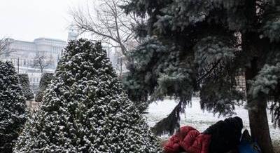 A hideg könyörtelen – Így segíthetünk a bajba jutott embereken és állatokon