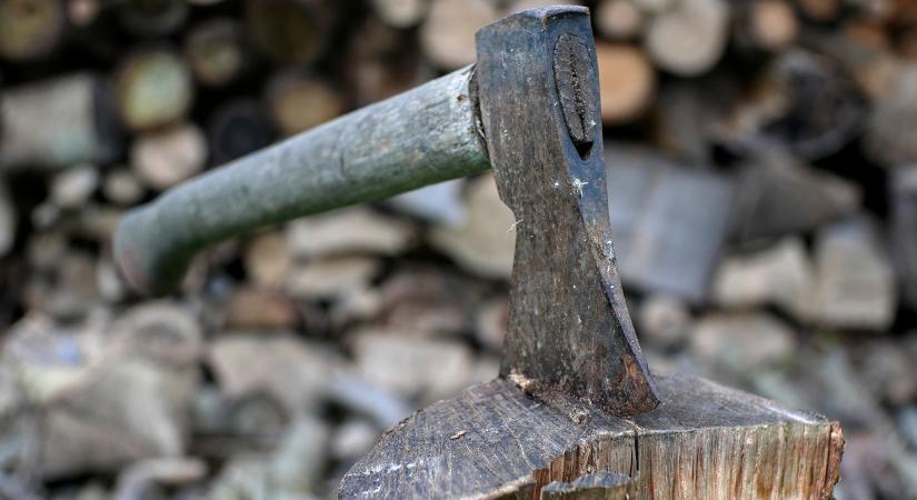 Tűzifát venne? Elképesztő, mit művelnek a csalók