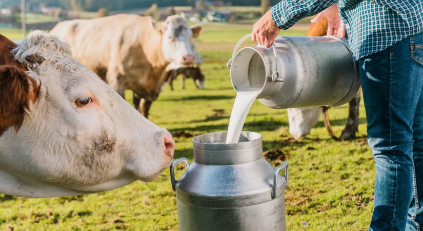 Ezt már csak január 15-ig intézheted el: utána mindenkit elutasítanak